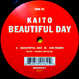 Kaito - Beautiful Day