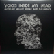 Ashley Beedle & DJ Harvey - Voices Inside My Head