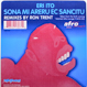 Eri Ito - Sona Me Areru Ec Sancitu (RT's Prescription Vocal Club Mix)