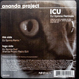 Ananda Project - ICU (DJ Spinna Remix)