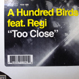 A Hundred Birds - Too Close