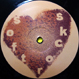 Soft Rocks - Chocolate Love EP1