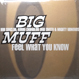 Big Muff - Feel What You Know (Remixed Kerri Chandler)