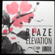 Blaze - Elevation (Shelter Vocal)