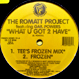 Romatt Project feat. Gail Powers - What U Got 2 Have