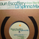 Shaun Escoffery - Days Like This (Remixed DJ Spinna)