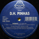 D.H. Pinhas - Babaji