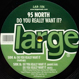 95 North - Do You Really Want It?