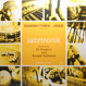 Jazztronik - Ms Loneliness