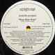 Ananda Project - Kiss Kiss Kiss (Remixed Eric Kupper)