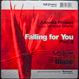 Ananda Project - Falling For You Part II (Remixed Blaze)