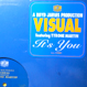Visual (Boyd Jarvis) feat. - It's You